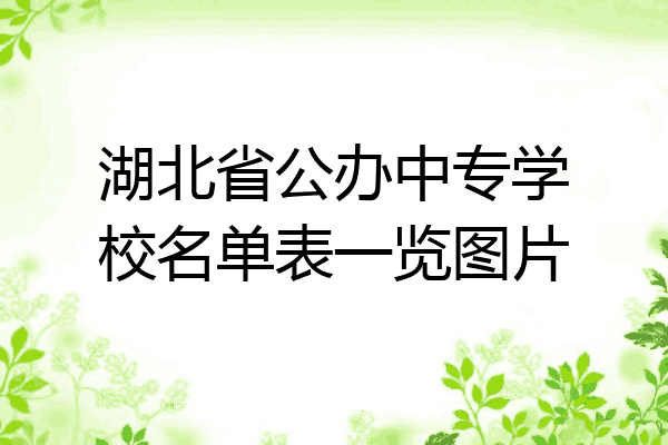 湖北省公办中专学校名单表一览图片