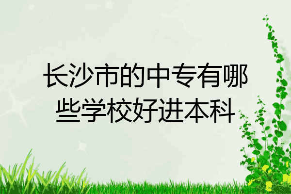 长沙市的中专有哪些学校好进本科