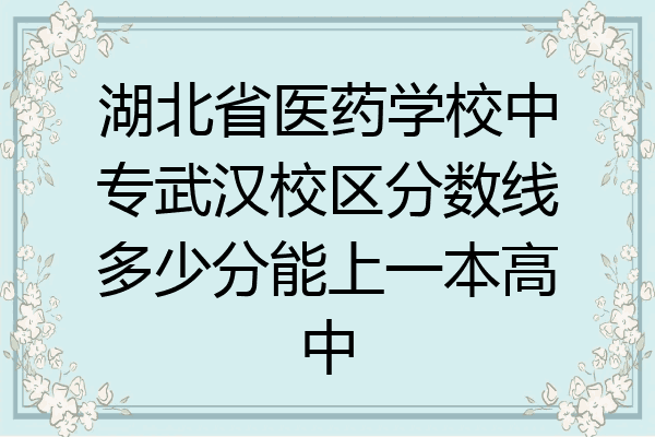 湖北省医药学校中专武汉校区分数线多少分能上一本高中