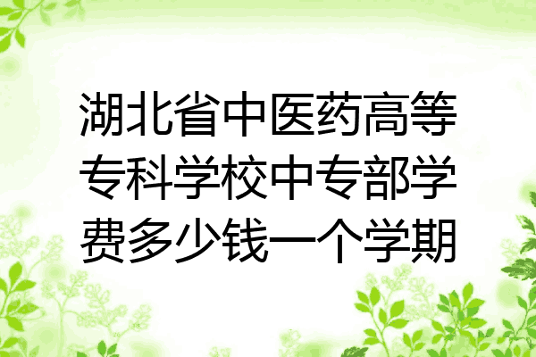 湖北省中医药高等专科学校中专部学费多少钱一个学期