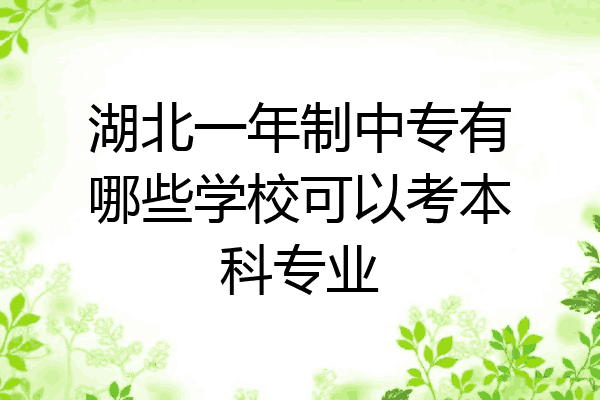 湖北一年制中专有哪些学校可以考本科专业