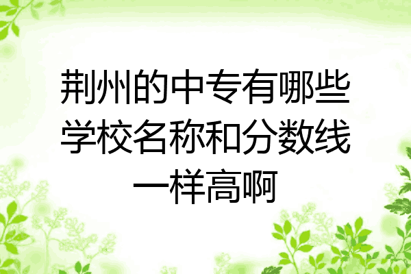 荆州的中专有哪些学校名称和分数线一样高啊