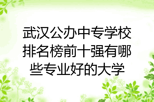 武汉公办中专学校排名榜前十强有哪些专业好的大学