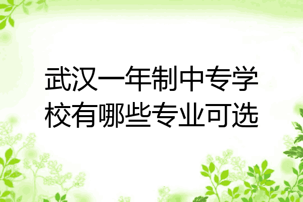 武汉一年制中专学校有哪些专业可选