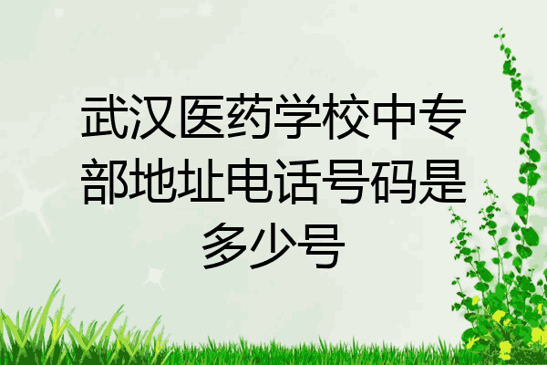 武汉医药学校中专部地址电话号码是多少号