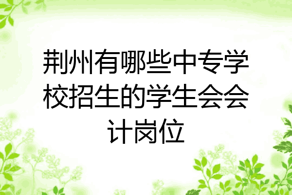 荆州有哪些中专学校招生的学生会会计岗位
