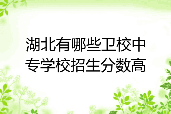 湖北有哪些卫校中专学校招生分数高