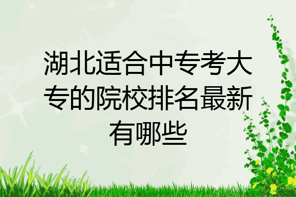 湖北适合中专考大专的院校排名最新有哪些