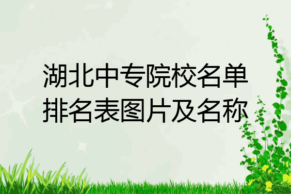 湖北中专院校名单排名表图片及名称