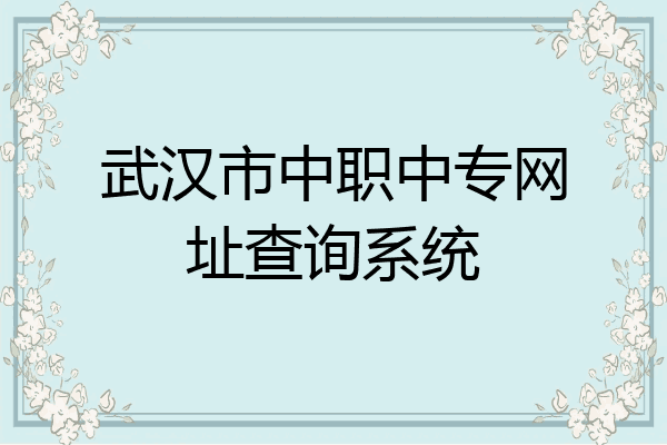 武汉市中职中专网址查询系统