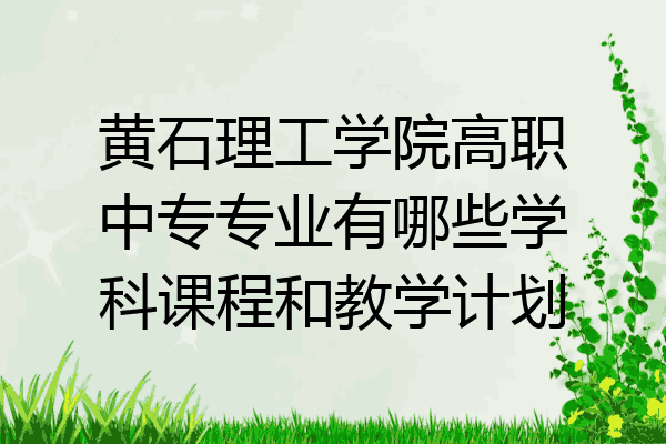 黄石理工学院高职中专专业有哪些学科课程和教学计划