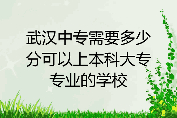 武汉中专需要多少分可以上本科大专专业的学校