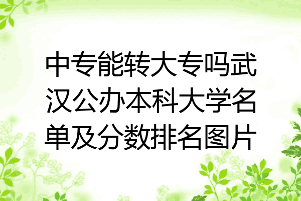 中专能转大专吗武汉公办本科大学名单及分数排名图片