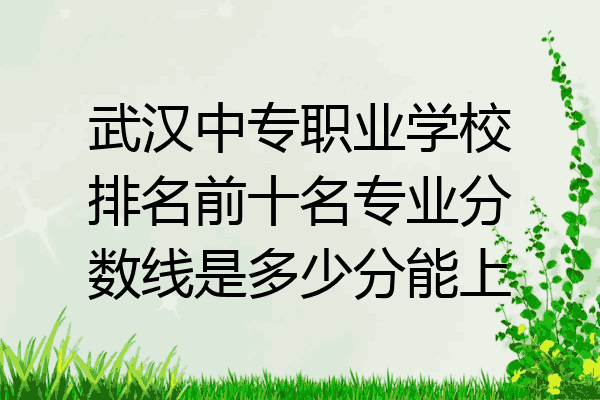 武汉中专职业学校排名前十名专业分数线是多少分能上