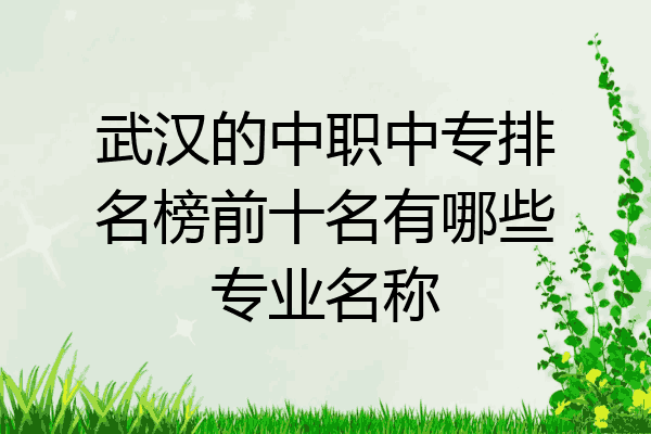 武汉的中职中专排名榜前十名有哪些专业名称