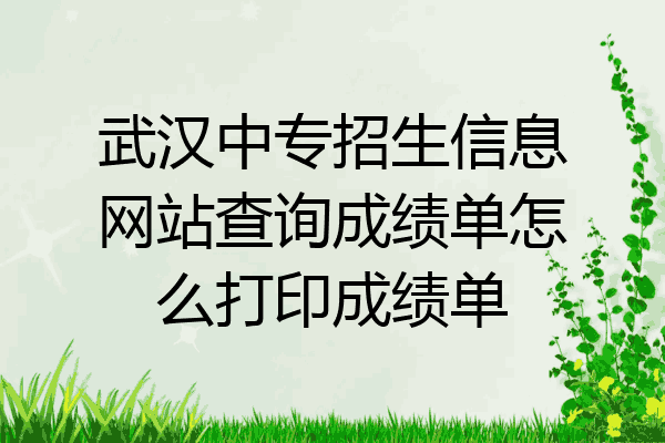 武汉中专招生信息网站查询成绩单怎么打印成绩单