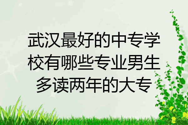 武汉最好的中专学校有哪些专业男生多读两年的大专