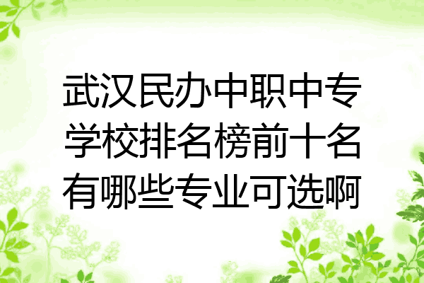 武汉民办中职中专学校排名榜前十名有哪些专业可选啊