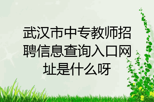 武汉市中专教师招聘信息查询入口网址是什么呀