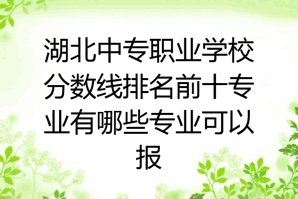 湖北中专职业学校分数线排名前十专业有哪些专业可以报