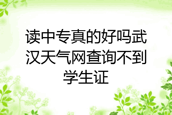 读中专真的好吗武汉天气网查询不到学生证