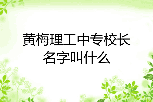 黄梅理工中专校长名字叫什么