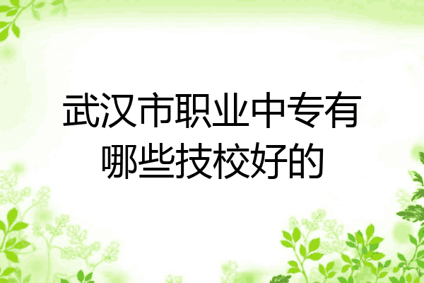 武汉市职业中专有哪些技校好的