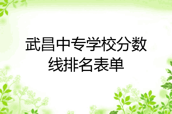 武昌中专学校分数线排名表单
