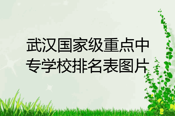 武汉国家级重点中专学校排名表图片