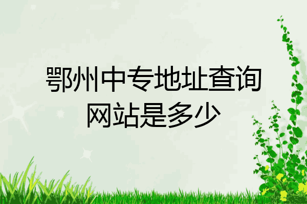 鄂州中专地址查询网站是多少