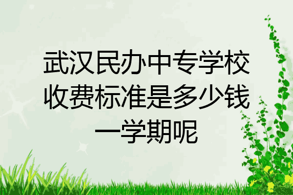 武汉民办中专学校收费标准是多少钱一学期呢
