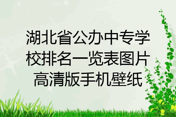 湖北省公办中专学校排名一览表图片高清版手机壁纸