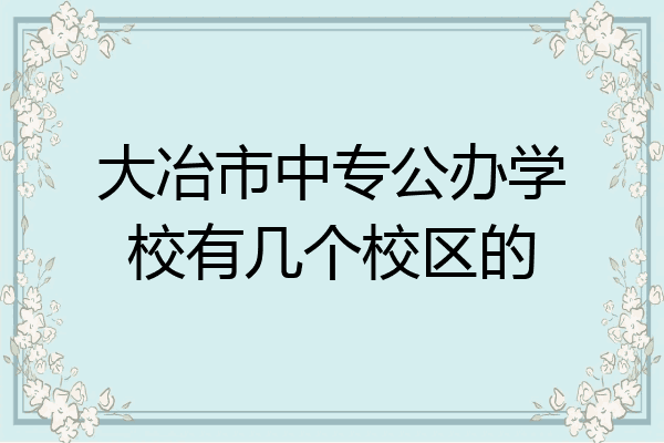 大冶市中专公办学校有几个校区的
