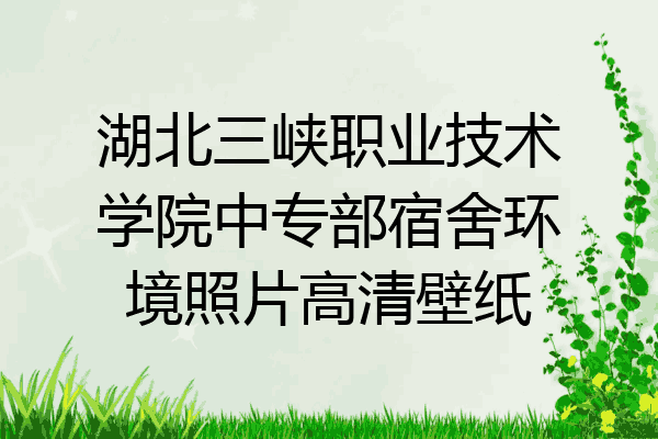 湖北三峡职业技术学院中专部宿舍环境照片高清壁纸