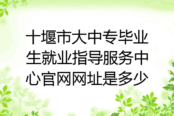 十堰市大中专毕业生就业指导服务中心官网网址是多少