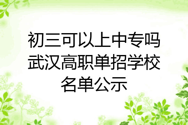 初三可以上中专吗武汉高职单招学校名单公示
