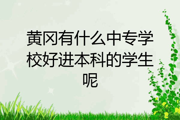黄冈有什么中专学校好进本科的学生呢