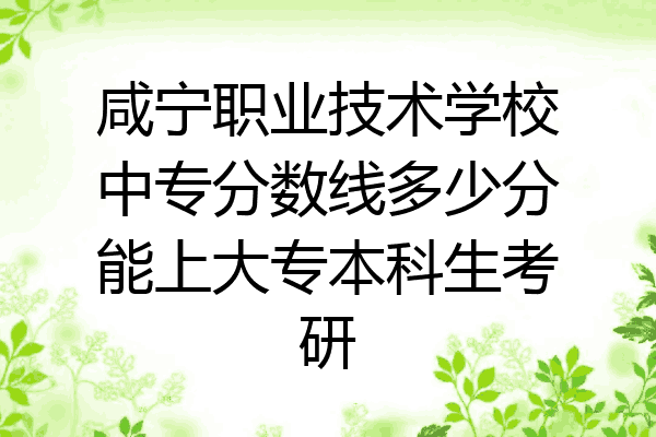 咸宁职业技术学校中专分数线多少分能上大专本科生考研