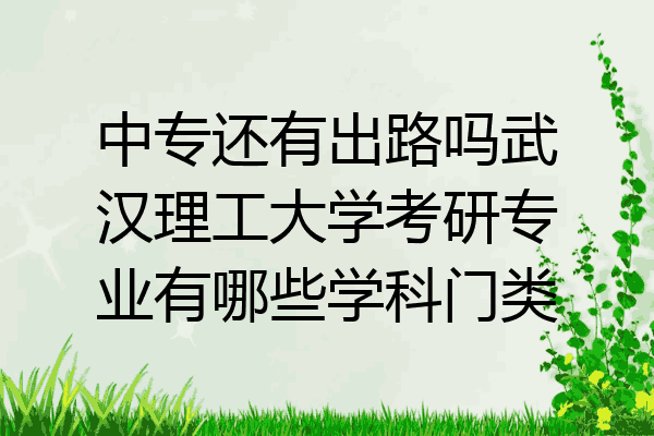 中专还有出路吗武汉理工大学考研专业有哪些学科门类