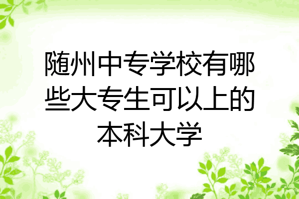 随州中专学校有哪些大专生可以上的本科大学