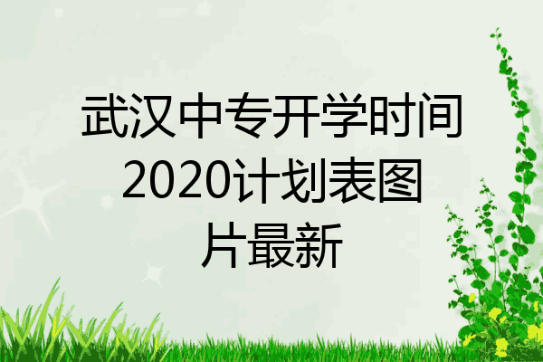 武汉中专开学时间2020计划表图片最新