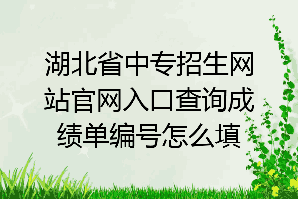 湖北省中专招生网站官网入口查询成绩单编号怎么填