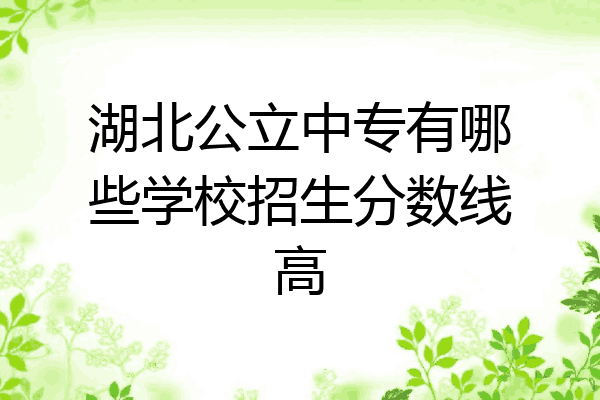 湖北公立中专有哪些学校招生分数线高