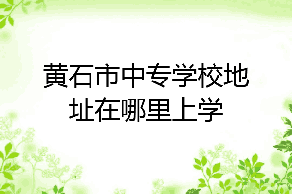 黄石市中专学校地址在哪里上学