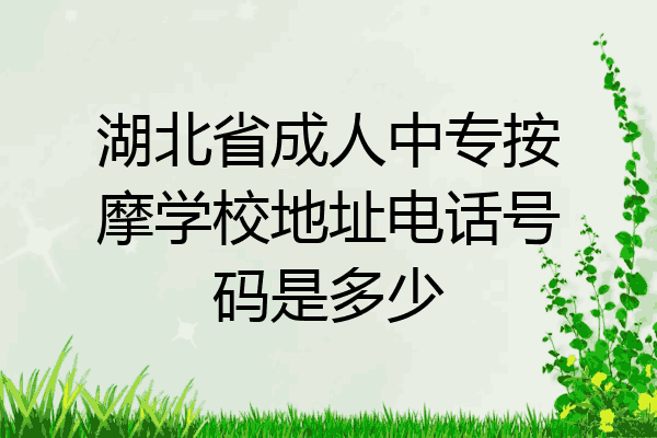 湖北省成人中专按摩学校地址电话号码是多少