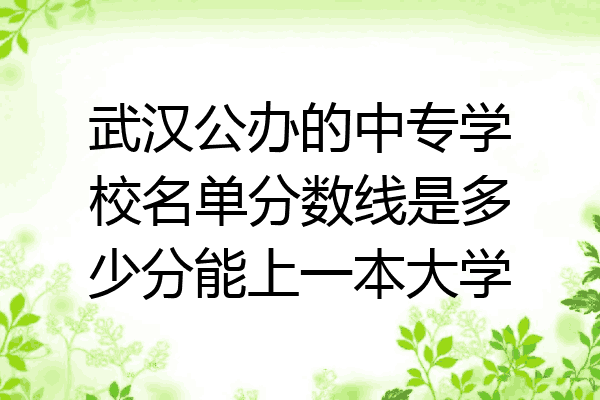 武汉公办的中专学校名单分数线是多少分能上一本大学