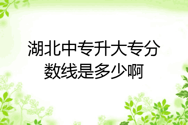湖北中专升大专分数线是多少啊