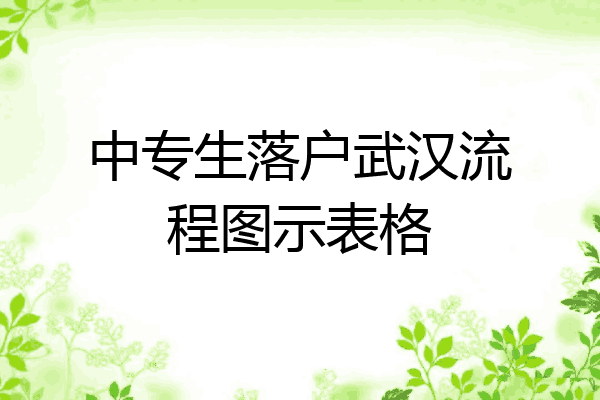 中专生落户武汉流程图示表格