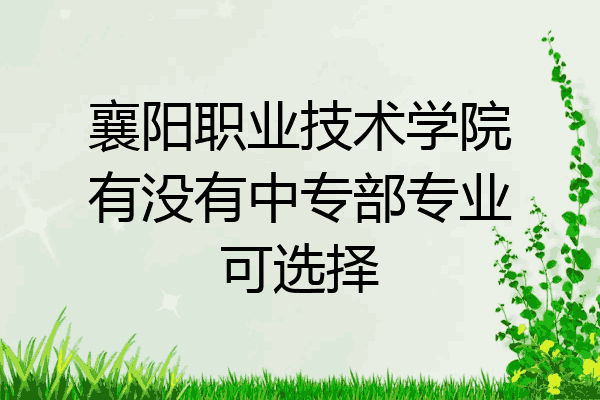 襄阳职业技术学院有没有中专部专业可选择