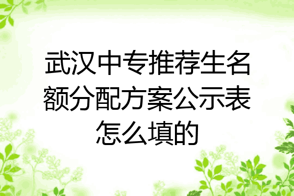 武汉中专推荐生名额分配方案公示表怎么填的